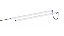 Load image into Gallery viewer, Tarantula Reproduction Bar (Pair)
