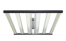 Load image into Gallery viewer, Master 6 Bloom Red featuring 730nm
