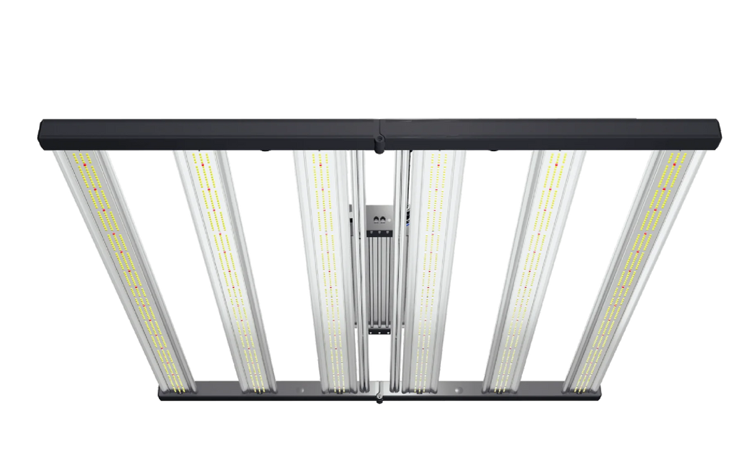 Master 6 Bloom Red featuring 730nm