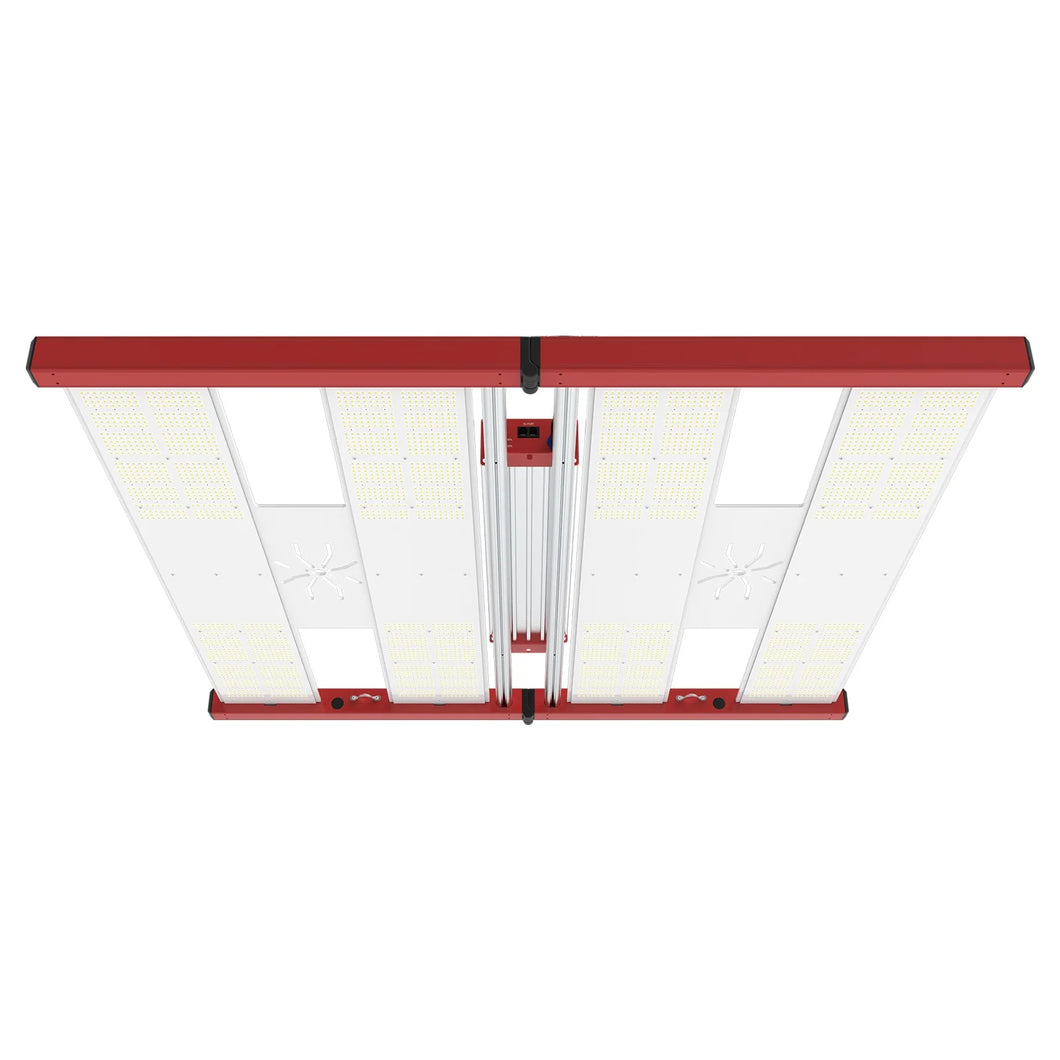 Tarantula Vulcan Magma